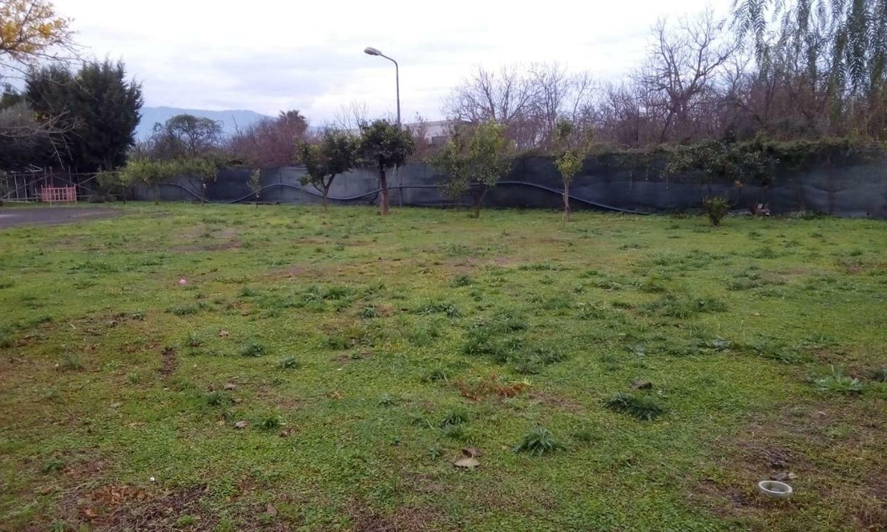 Antica Masseria Pellegrini Hotel Boscoreale Bagian luar foto
